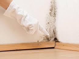 Best Water Damage & Mold Remediation  in Sylvan Springs, AL